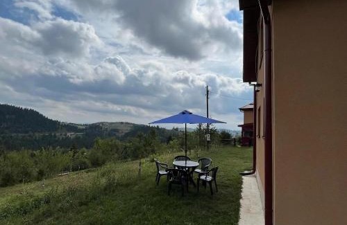 Zlatibor House | Vila Mica - STD Bojovići Zlatar