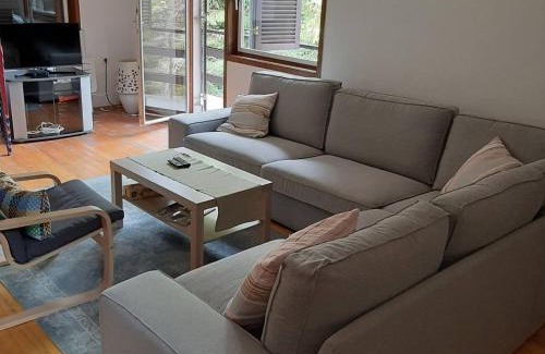 Zlatibor House | Vila Mira Zlatar