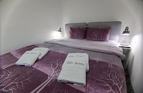 Stara Planina Apartment | Vila Nemir Zavojsko jezero