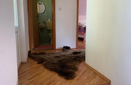 Resnik Villa | Vila Oaza mira
