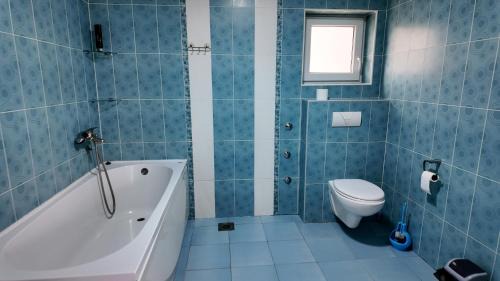 Beocin Apartment | Vila Odmor na Dunavu