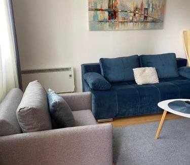 Zlatibor Apartment | Vila Pekovic Central-Apartman PAMA