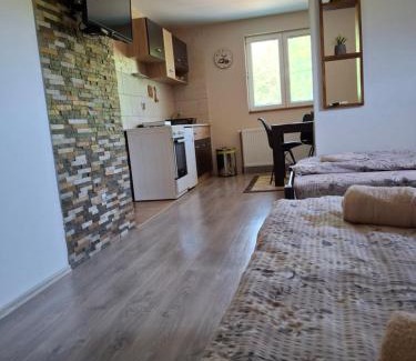 Mokra Gora Apartment | Vila Petar