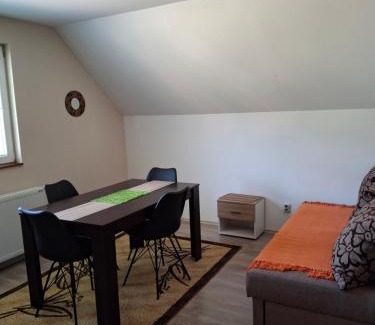 Mokra Gora Apartment | Vila Petar