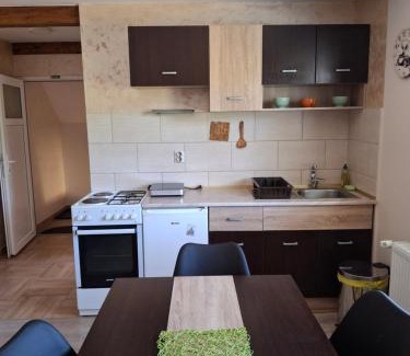 Mokra Gora Apartment | Vila Petar