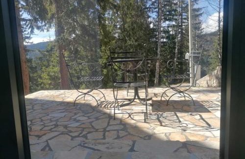 Zlatibor Cabin | Vila Plava Zlatar