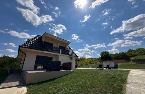 Petrovaradin Villa | Vila Remeta