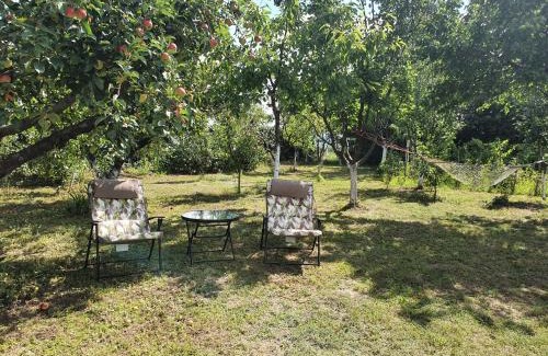Inija Villa | Vila Rio - obronci Fruške Gore