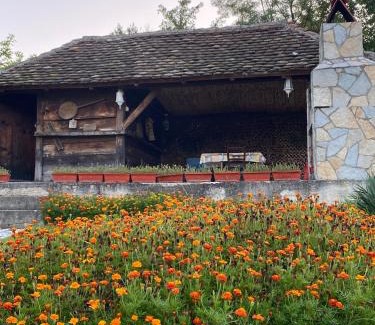 Mionica Villa | Vila Rodjak sa sela