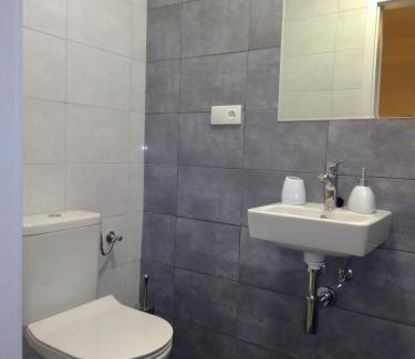 Brada-Rybnicek House | Vila Rybníček