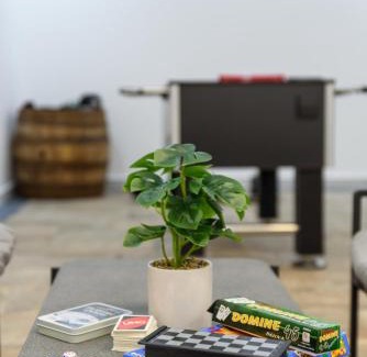 Vrnjacka Banja Apartment | Vila Safra