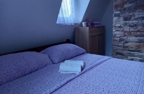 Bajina Basta House | Vila Suza-Vikendice i apartmani Jezdić