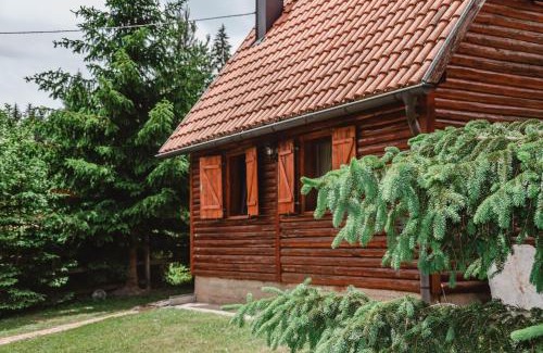 Konjska Reka Apartment | Vila Tijana