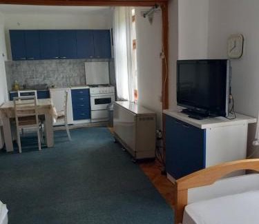 Vrnjacka Banja Apartment | Vila Verica