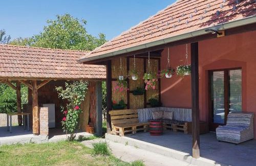 Central Serbia House | Vila Vida