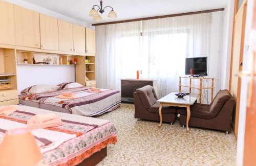Soko Banja House | Vila Vojvođanka