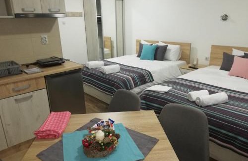 Stara Planina Apartment | Vila Vrh