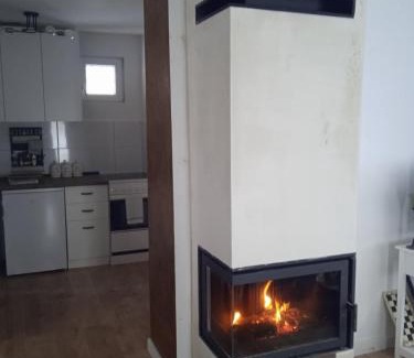 Zlatibor Villa | Vila Xenos Loft Karakter Zlatibor