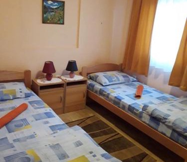 Gornja Trepca Apartment | Vila Zlata