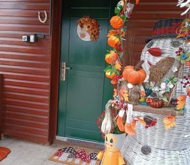 Brdo Apartment | Vila Zorka