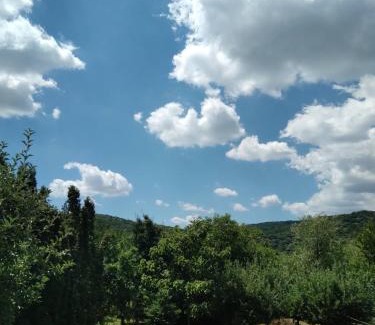 Vrdnik Apartment | Vila Zvončica
