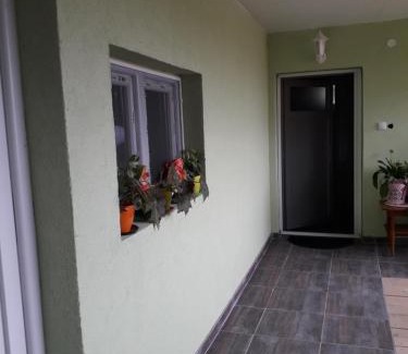 Apatin Bed & Breakfast | VILANATALIJA PANSION, APATIN