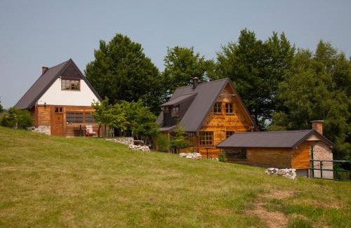 Zlatibor House | Vile SRCE