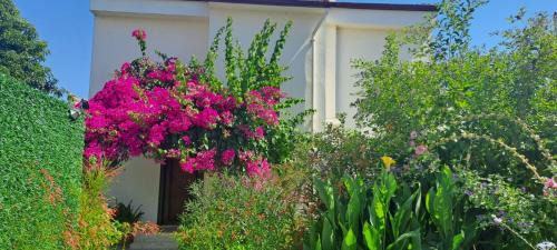 Fethiye City Center Villa | Villa Çalış