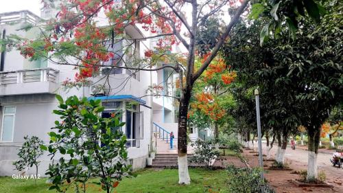 Hoang Hoa Apartment | Villa 407 Eureka resort Linh Trường