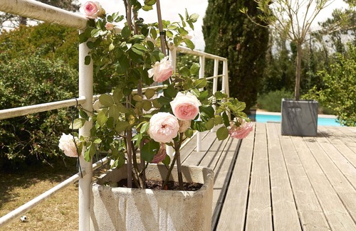 Saint-Mary Villa | Villa 5 Roses - Exclusive villa in the French Countryside with a private pool