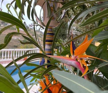 Competa Villa | Villa Abril