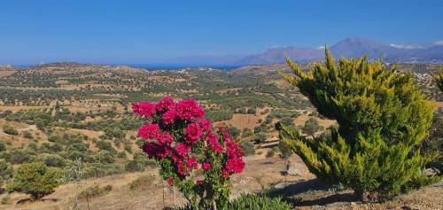 Sivas Villa | Villa Agapi - sea view - ecological swimming pool - privacy