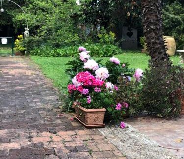 Acquasanta Apartment | Villa Agostina