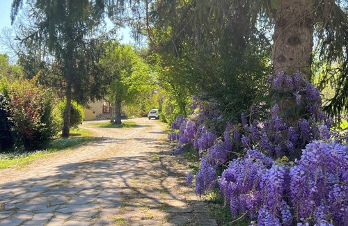 Sulmona Apartment | Villa Alberto