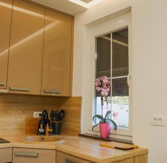 Bihac House | Villa Ali