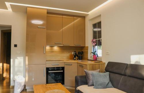 Bihac House | Villa Ali