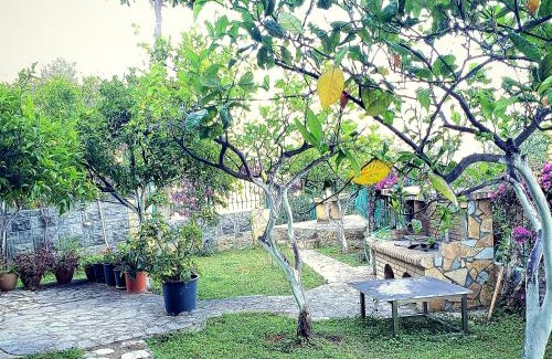 Vlore Villa | Villa Angela