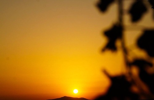 San Venanzo Bed & Breakfast | Villa Anna B&B