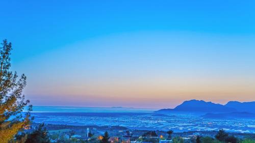 Uzumlu Villa | Villa Avcı Trio