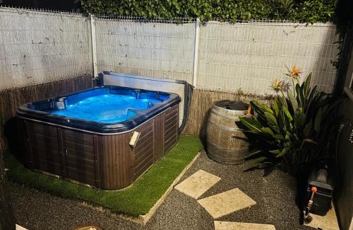 Saint-Laurent-d'Aigouze Villa | Villa avec jacuzzi en petite camargue