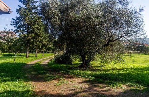 Bivio di Ravi House | Villa Bel Giardino