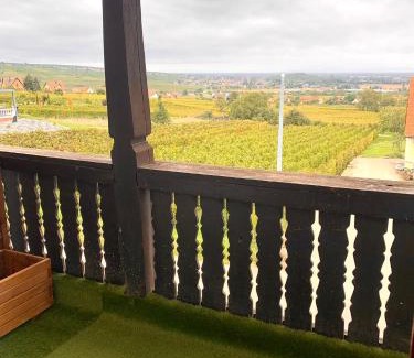 Gueberschwihr Villa | Villa BEST VIEW near Colmar- FREE PARK & WIFI