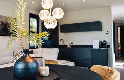 Vogelenzang House | Villa Bloomingdale by Interhome