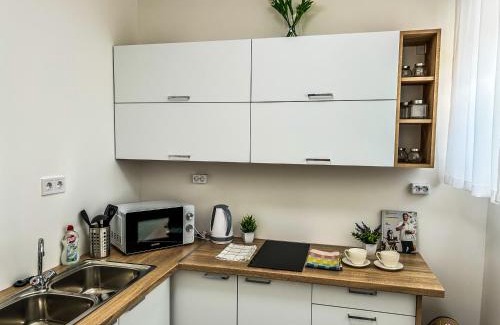 Szekszard Apartment | Villa Blue City Apartman