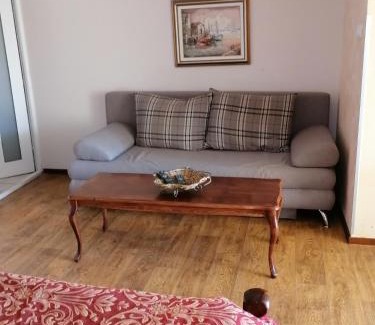 Zlatibor Apartment | Villa Bozovic