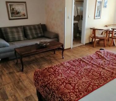 Zlatibor Apartment | Villa Bozovic