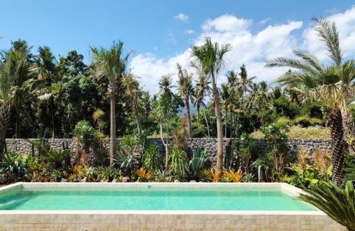 Kaliasem Villa | Villa Cactus is far from home but like your home Villa Cactus 3 BR isn't just a tropical villa in the heart of a coconut grove it's a feeling Next door Villa Sungai also offers 2 BR and 1 Bungalow Ability to accommodate 12 people