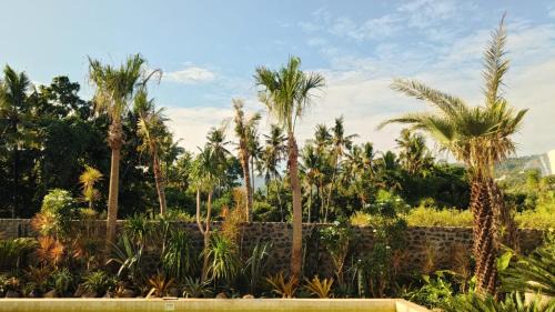 Kaliasem Villa | Villa Cactus is far from home but like your home Villa Cactus 3 BR isn't just a tropical villa in the heart of a coconut grove it's a feeling Next door Villa Sungai also offers 2 BR and 1 Bungalow Ability to accommodate 12 people