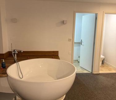 Brive-la-Gaillarde Apartment | Villa Chadourne - Love Room Liberation
