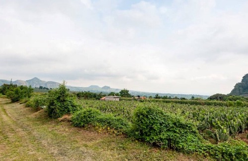 Tlalnepantla Villa | Villa con Alberca Privada en Tlayacapan, Morelos